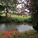 Cocottes & Colibri Châtellerault