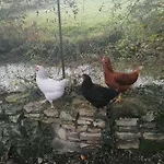Tatil Evi Cocottes & Colibri Châtellerault