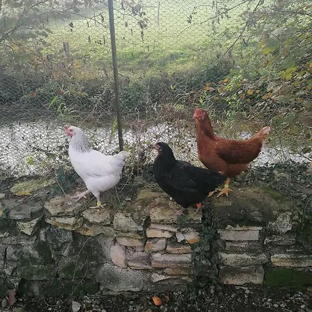 Hébergement de vacances Cocottes&colibri Châtellerault