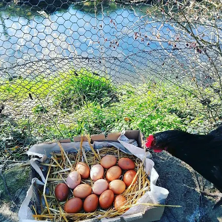 Hébergement de vacances Cocottes&colibri Châtellerault