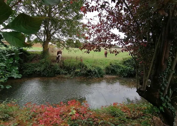 Cocottes & Colibri Chatellerault