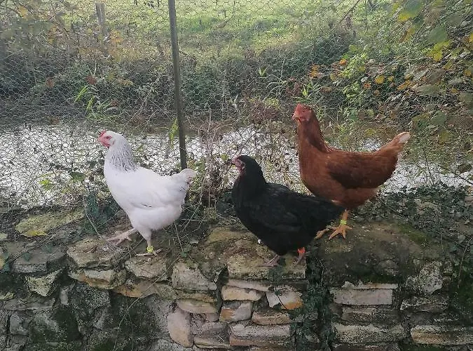 Holiday home Cocottes & Colibri Chatellerault